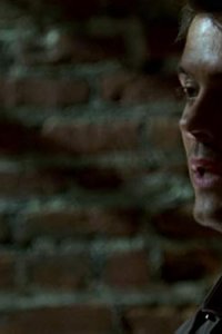Las Vegas – S04E12 – The Chicken Is Making My Back Hurt