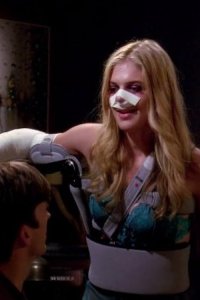 Two and a Half Men – S11E09 – Numero Uno Accidente Lawyer
