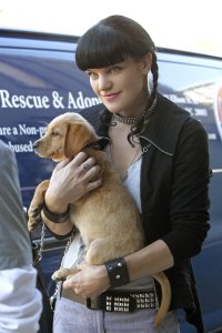 NCIS – S09E04 – Enemy on the Hill