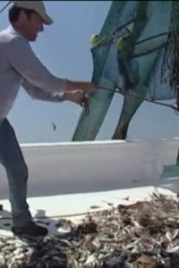 Dirty Jobs – S01E10 – Shrimper