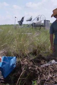 Dirty Jobs – S03E16 – Alligator Egg Collector