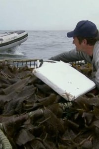 Dirty Jobs – S03E20 – Special Effects Artist