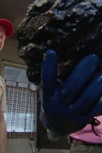 Dirty Jobs – S04E01 – Big Animal Vet