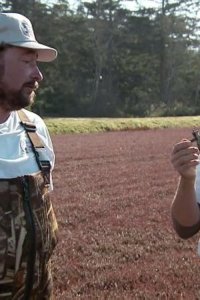 Dirty Jobs – S04E05 – Cranberry Farmer