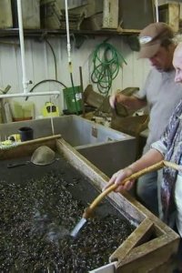 Dirty Jobs – S04E22 – Leech Trapper