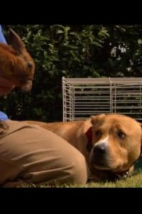 Dog Whisperer with Cesar Millan – S02E04 – JonBee, Violet & Hudson, and Buford