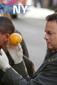 CSI: NY – S04E11 – Child’s Play