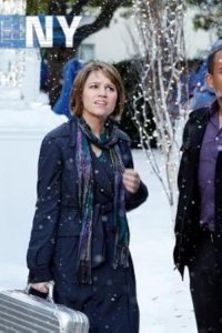CSI: NY – S04E12 – Happily Never After