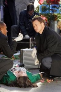 CSI: NY – S04E13 – All in the Family
