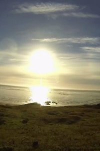 Survivorman – S05E03 – Tierra Del Fuego
