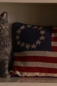 House M.D. – S03E18 – Airborne