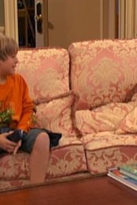 The Suite Life of Zack & Cody – S01E10 – Cody Goes to Camp