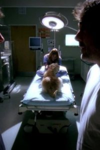 Grey’s Anatomy – S03E17 – Some Kind of Miracle
