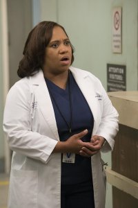 Grey’s Anatomy – S13E10 – You Can Look (But You’d Better Not Touch)