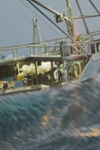 Deadliest Catch – S15E13 – Crane Wreck