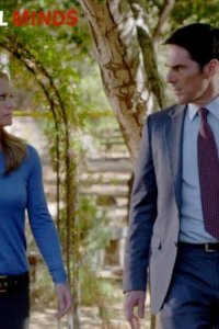 Criminal Minds – S08E11 – Perennials
