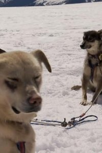 Top Chef – S10E15 – Glacial Gourmand