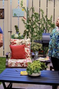 House of Payne – S09E16 – The Dinosaur and the Rabbit