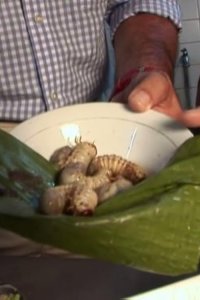 Bizarre Foods with Andrew Zimmern – S03E05 – Kids’ Special