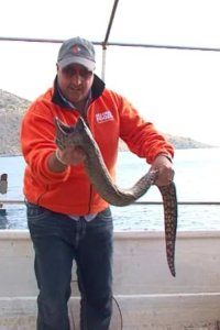 Bizarre Foods with Andrew Zimmern – S04E08 – Greece