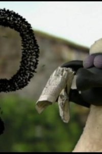 Shaun the Sheep – S01E13 – Buzz Off Bees