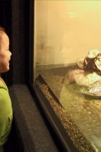 Jon & Kate Plus 8 – S03E21 – Alexis and Collin