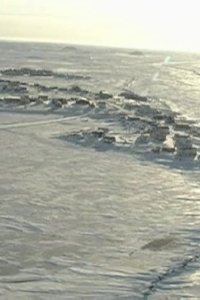 Ice Road Truckers – S02E03 – The Big Blizzard