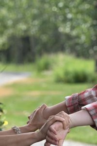 Heartland – S08E08 – The Family Tree