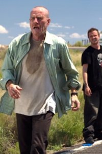 Breaking Bad – S02E03 – Bit by a Dead Bee