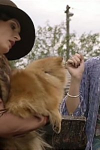 Underbelly – S04E01 – The Worst Woman in Sydney