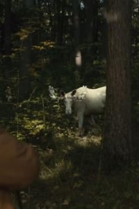 Murdoch Mysteries – S11E14 – The Great White Moose