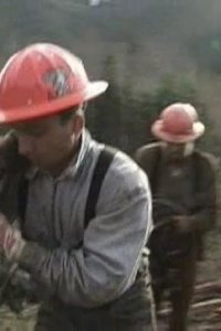 Ax Men – S02E09 – Fresh Meat