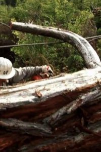 Ax Men – S04E19 – Fever Pitch