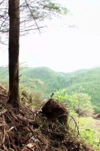 Ax Men – S06E01 – All or Nothing