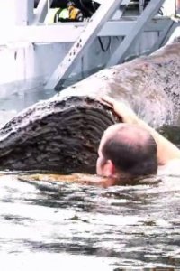 Ax Men – S07E06 – Large Barge