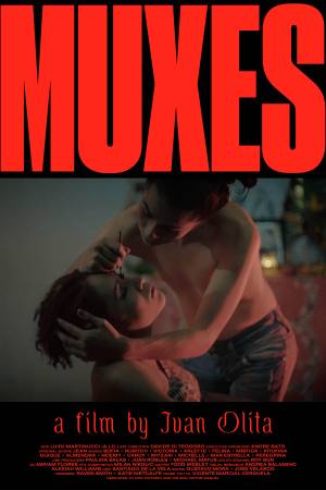 Muxes