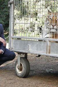The Mentalist – S04E18 – Ruddy Cheeks
