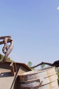 Billy the Exterminator – S03E01 – Coffin of Deadly Reptiles