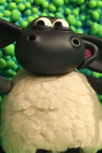 Timmy Time – S03E16 – Timmy’s Egg Heads