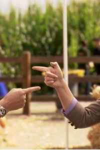 Parks and Recreation – S03E07 – Harvest Festival