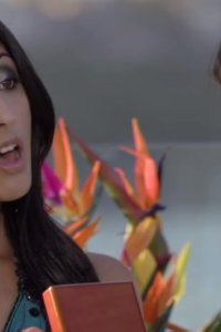 Royal Pains – S02E17 – Fight or Flight