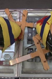 Pawn Stars – S05E25 – Pawnocchio