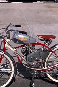 Pawn Stars – S10E16 – Dodging Dillinger
