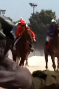 Early Edition – S03E03 – A Horse Is a Horse