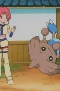 Pokémon – S04E09 – Kapoerer vs. Fushigidane! Hand to Hand Showdown!!