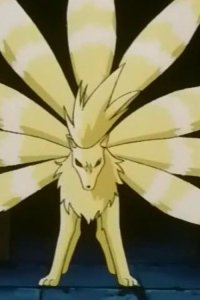 Poketto monsutâ – S04E75 – The Kyukon in the Fog!