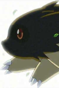 Pokémon – S06E05 – In the Knicker of Time!