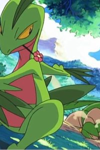 Poketto monsutâ – S08E69 – Juptile vs. Tropius! Grassland Duel!!