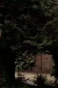 Cold Feet – S04E01 – Episode #4.1