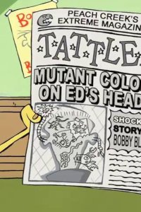 Ed, Edd n Eddy – S05E13 – Truth or Ed